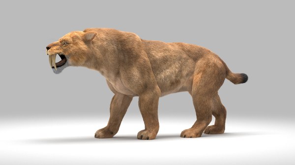 Smilodon 3D Models for Download TurboSquid