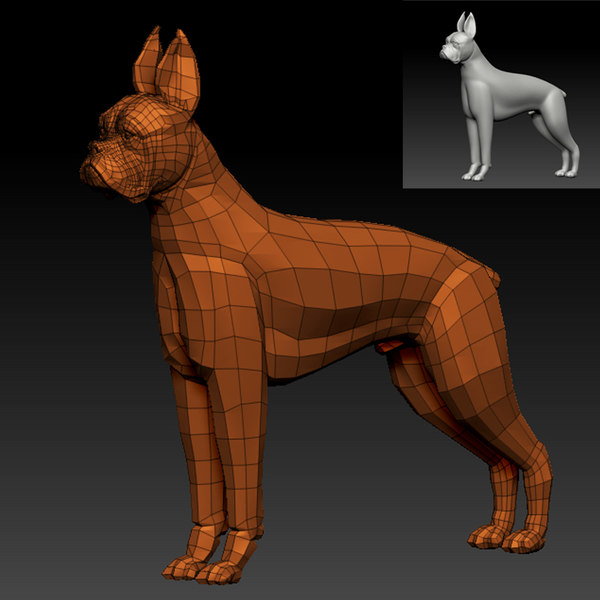 Boxer Dog 3d Model Turbosquid