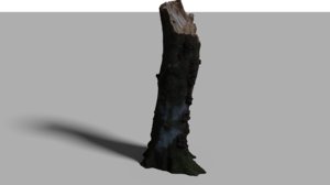 tree stump rotten 3D model