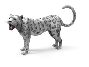 leopard rigged animation 3D