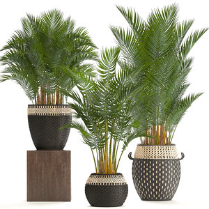 3D decorative palms