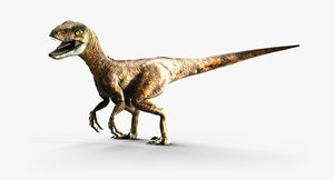 3D velociraptor dinosaur model