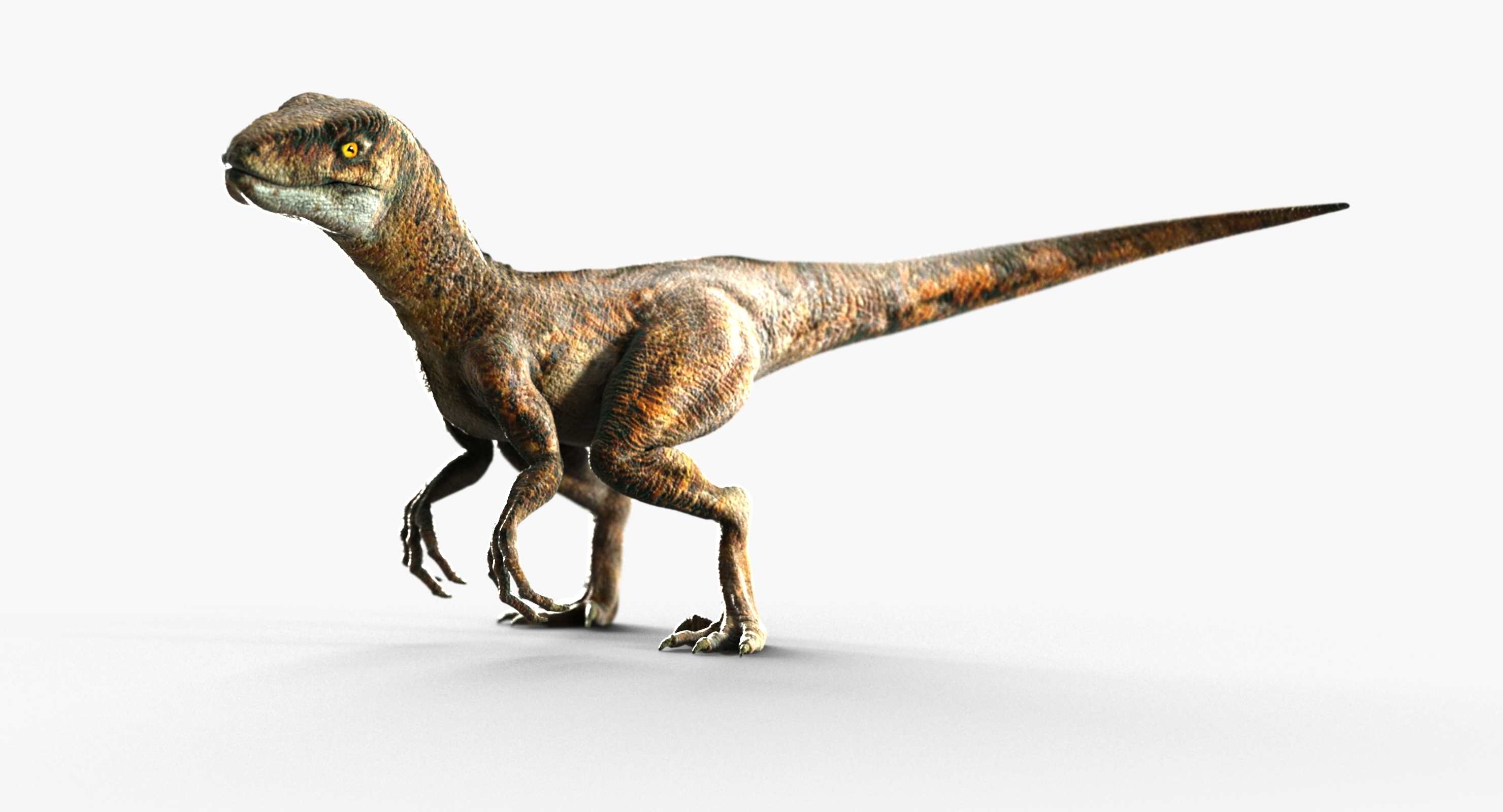 google 3d velociraptor