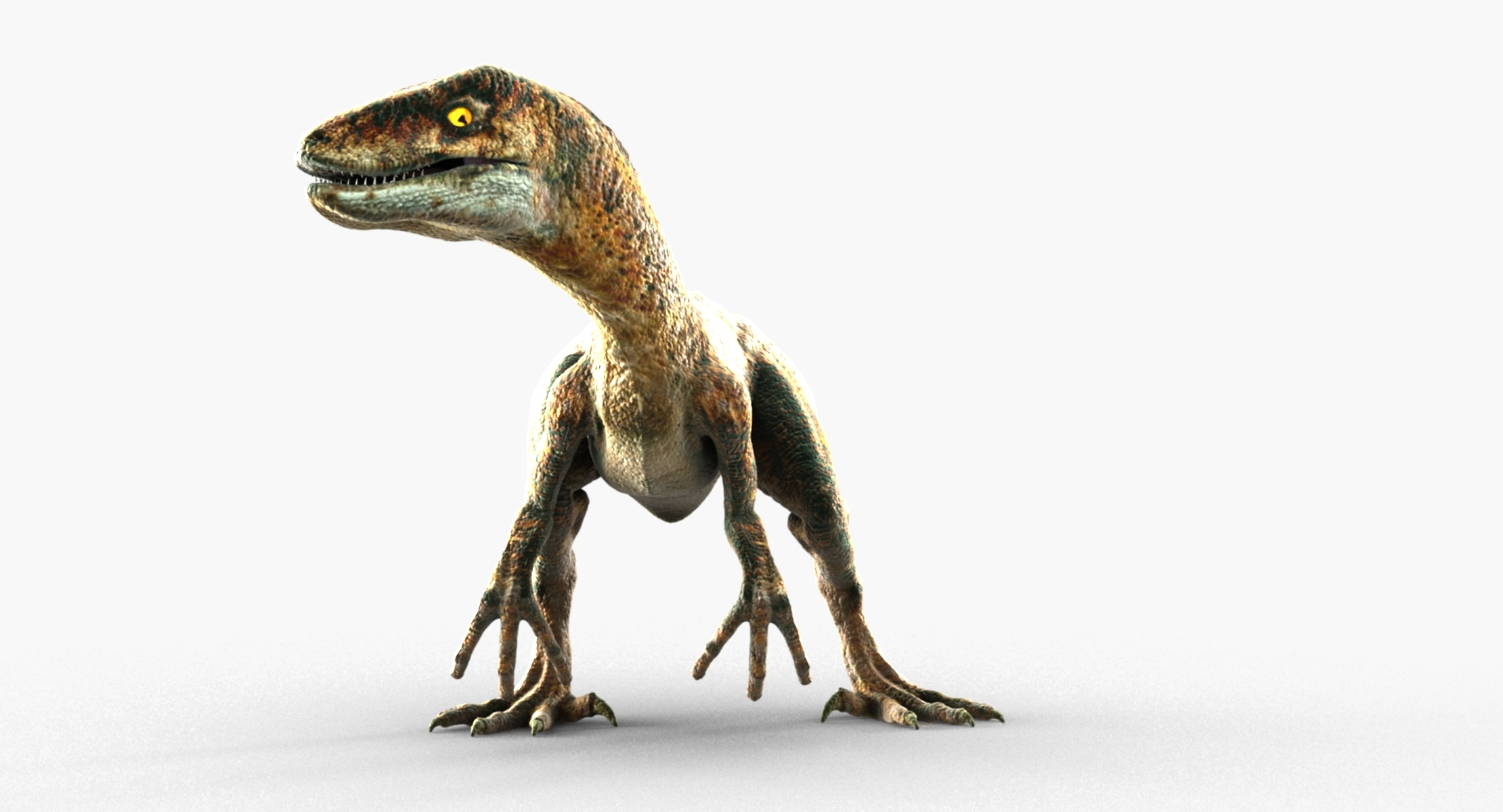 3d velociraptor