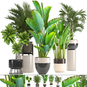 ornamental plants pots model