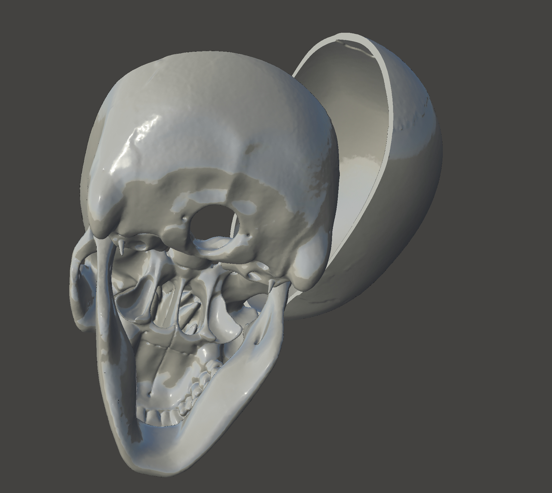 3D модель Человеческий череп со всеми деталями - TurboSquid 1294014