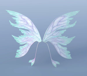 set wings 3D