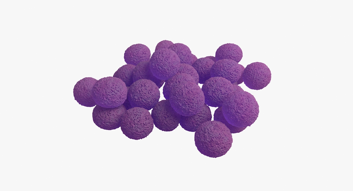 3D staphylococcus aureus bacteria model - TurboSquid 1294243