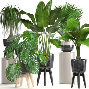 3D ornamental plants pots