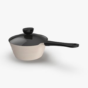 modern-cookware---saucepan model
