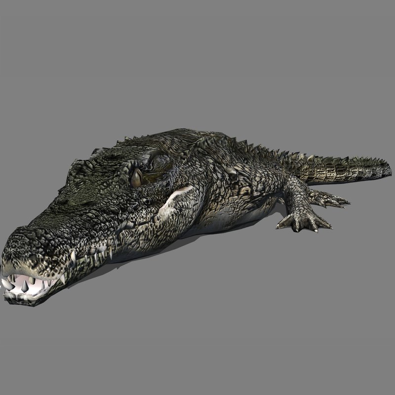 crocodile technology 3d