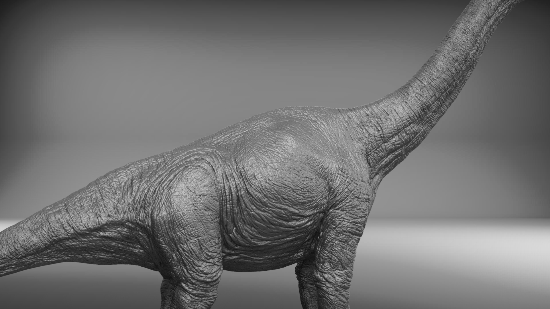 brachiosaurus 3d view