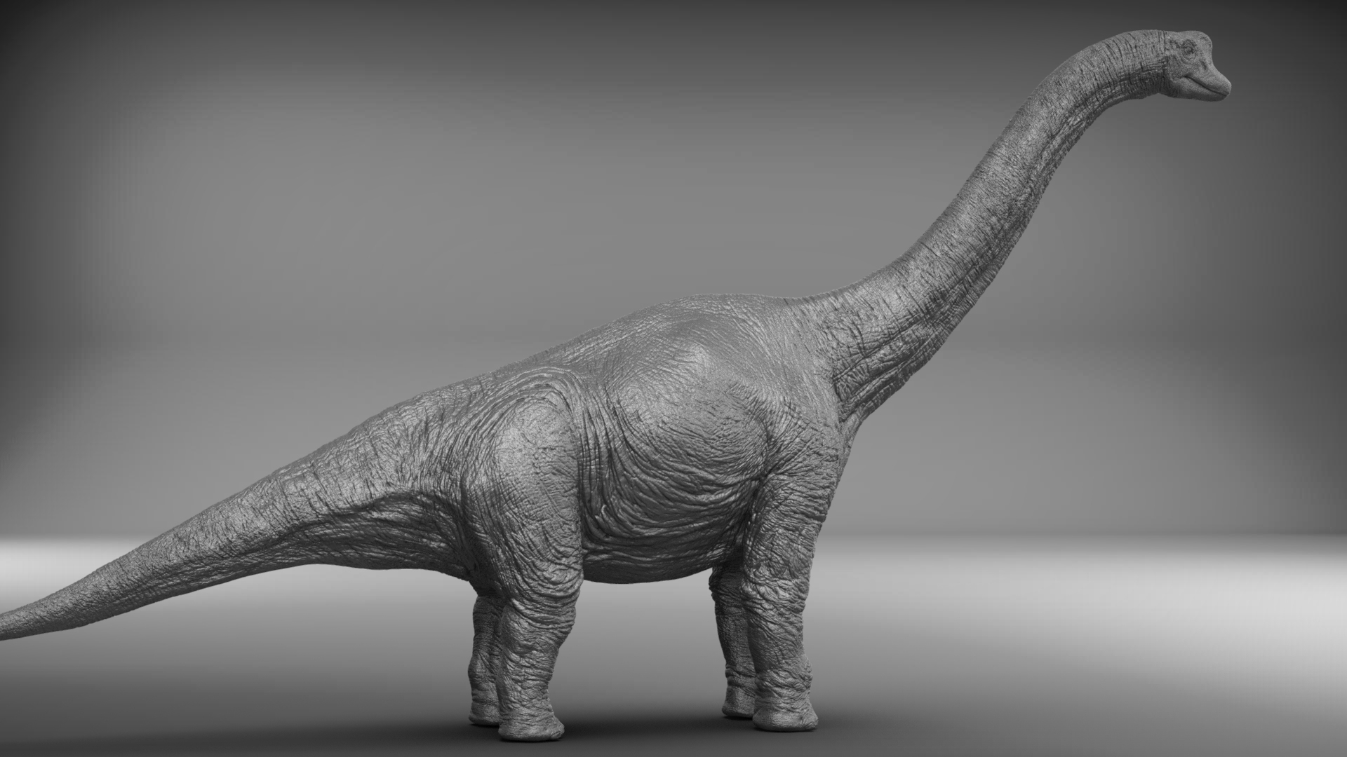 brachiosaurus 3d