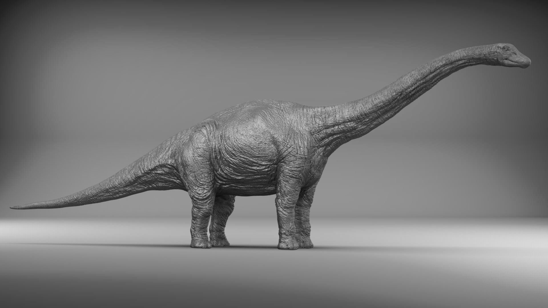 small diplodocus