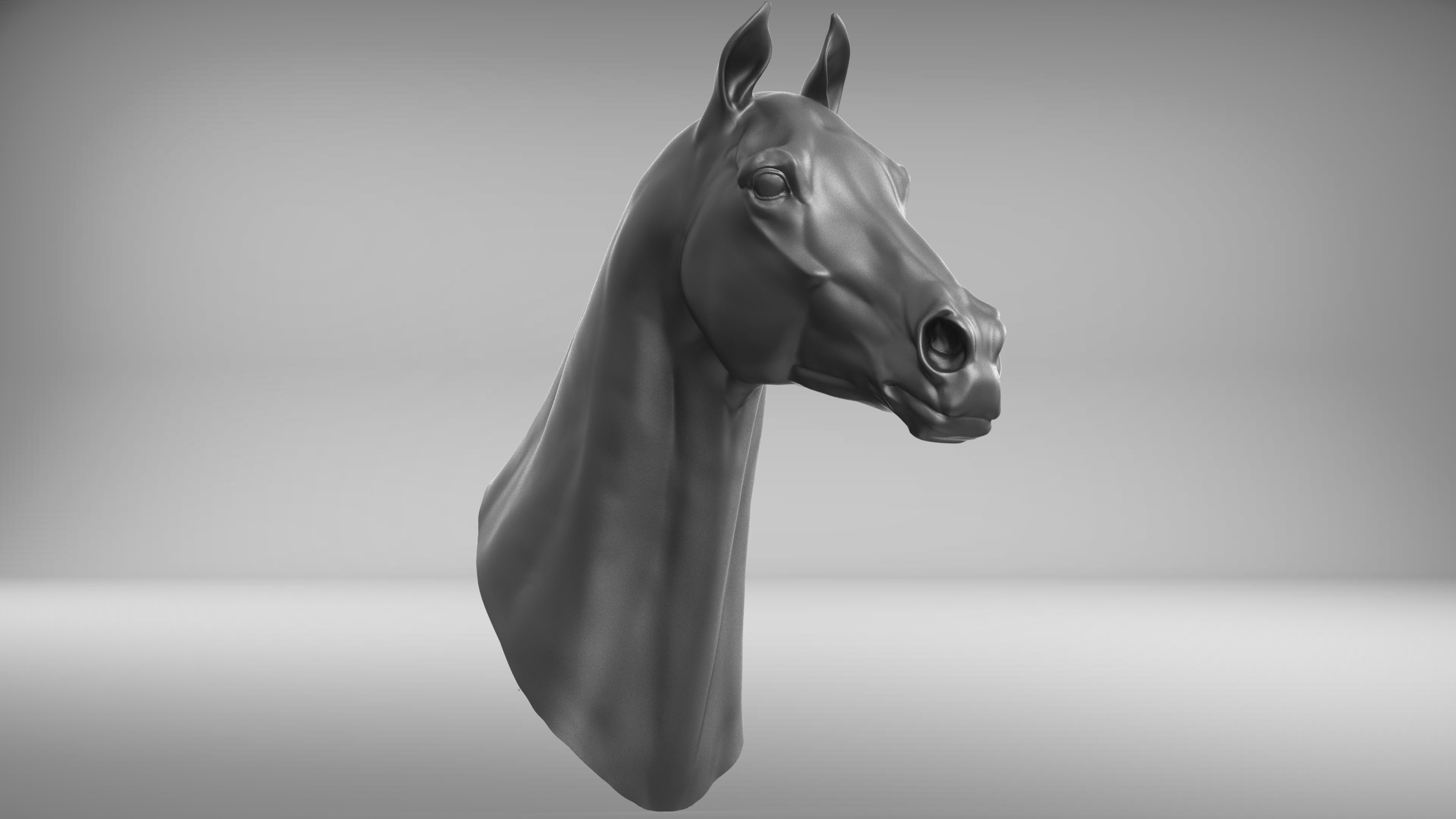 3D model race horse head TurboSquid 1294931