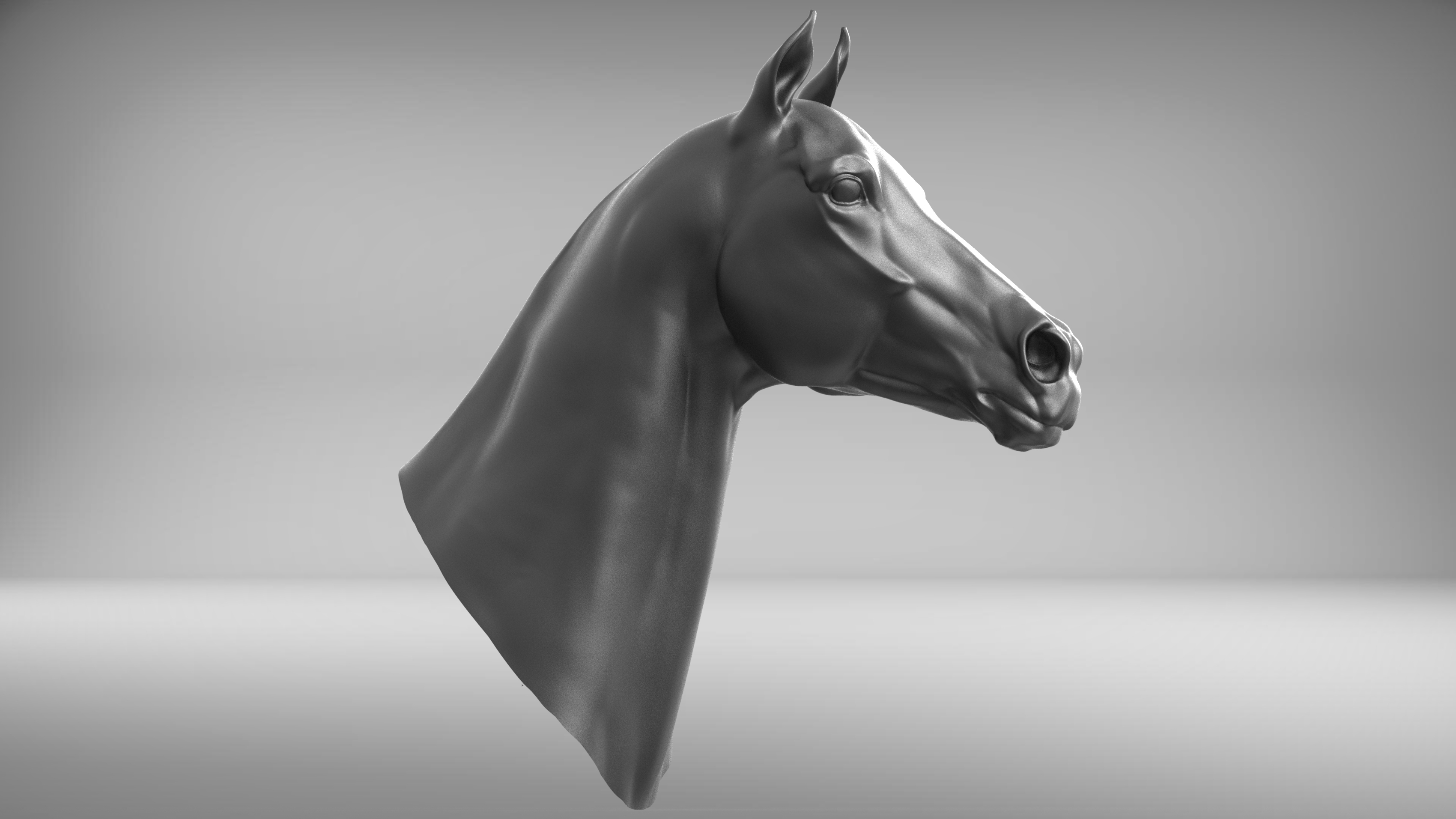 3D model race horse head TurboSquid 1294931