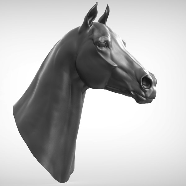 競走馬の頭3dモデル Turbosquid