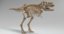 tyrannosaurus rex skeleton 3D