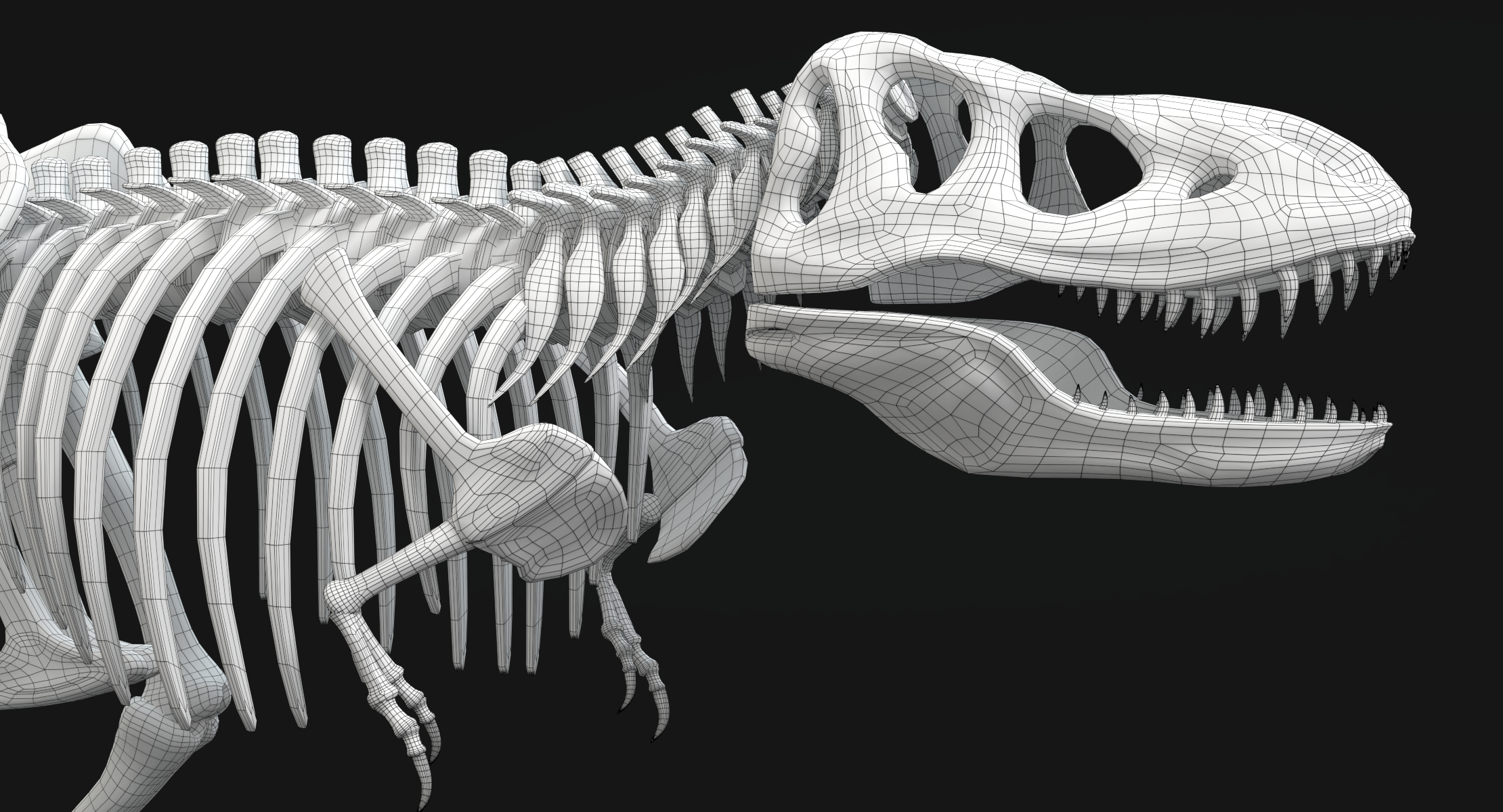 t rex skeleton 3d