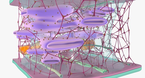 3D cytoskeleton structure cell - TurboSquid 1295229