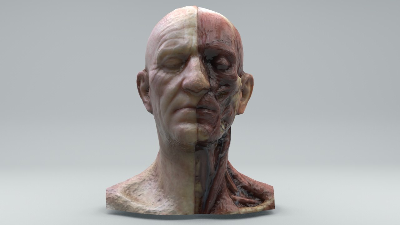 ecorche 3d