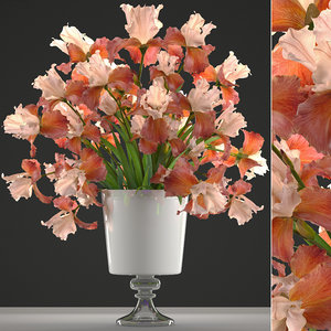 3D model flower bouquet iris