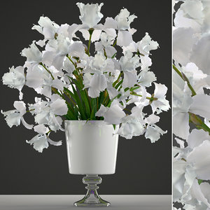 3D bouquet flowers iris