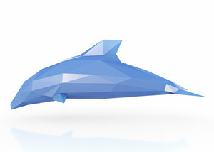 dolphin 3D model