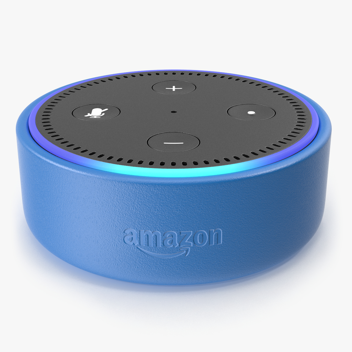 echo dot modelli