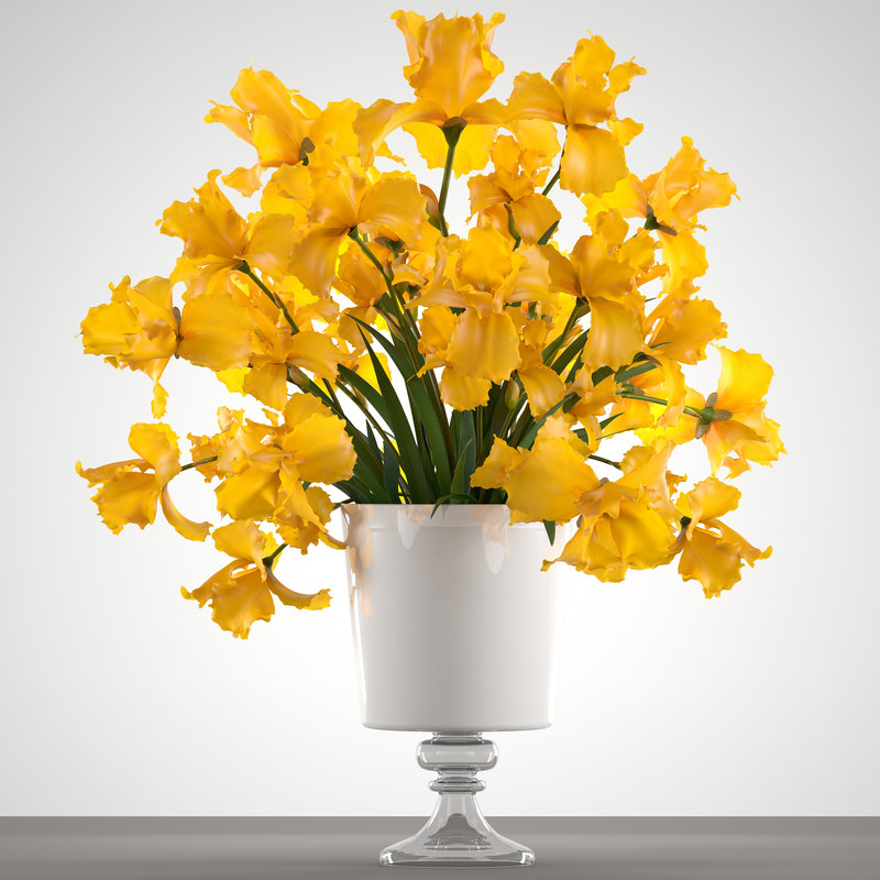  3D  bouquet yellow  flowers  TurboSquid 1296190