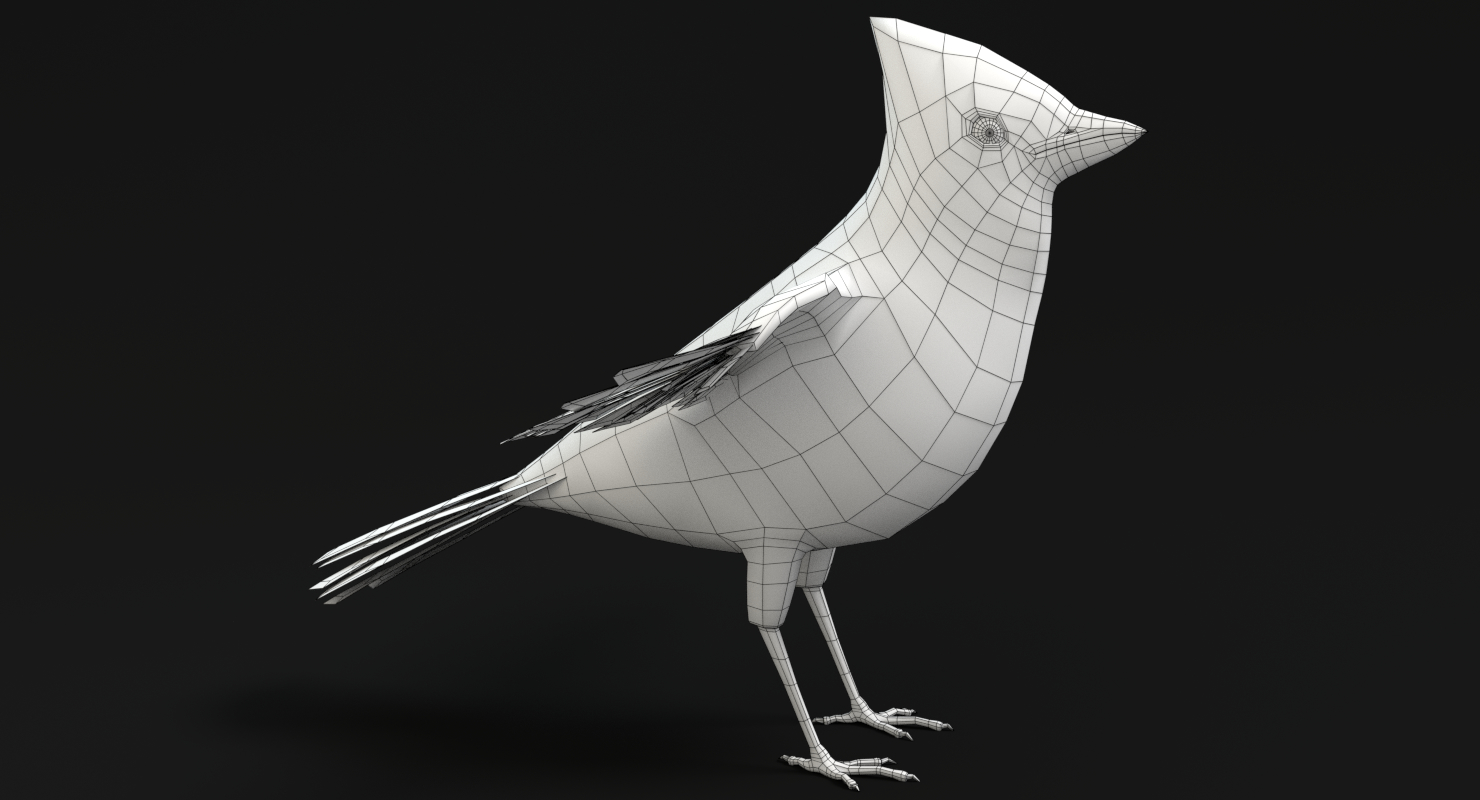 动画鸟集3d模型