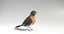 3D set birds owl animations