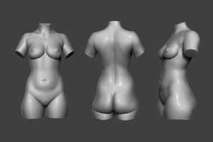 female torso 3D