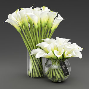 vases calla lilies 3D model