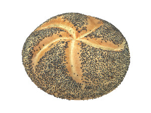 3D model photorealistic scanned poppy seeded