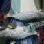 3D fish wahoo barracuda