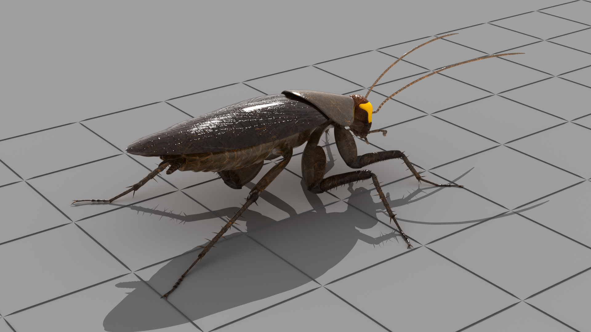 Cockroach radioactive animation 3D model TurboSquid 1296813
