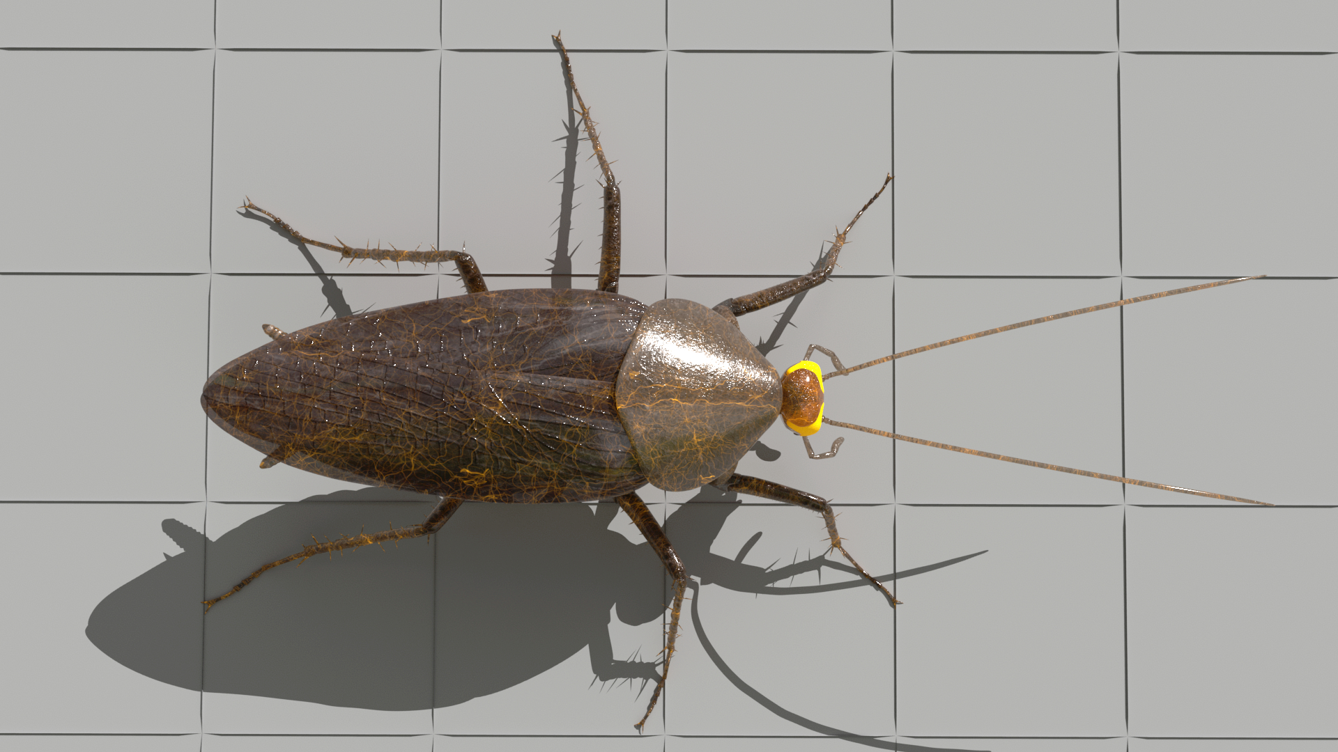Cockroach radioactive animation 3D model TurboSquid 1296813