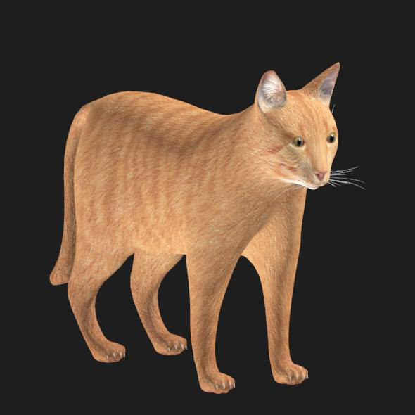 cat modeled 3D model