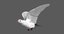 rigged white dove pigeon model