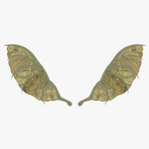 3D dragon wings model