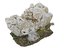 3D dubrovnik cliff rock pack model
