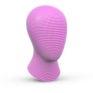 head mesh 3D model