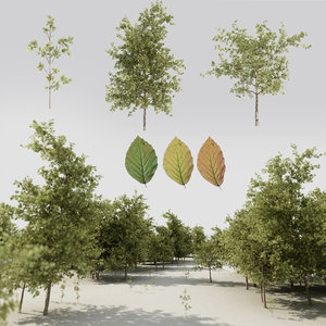 tree pack 3D model