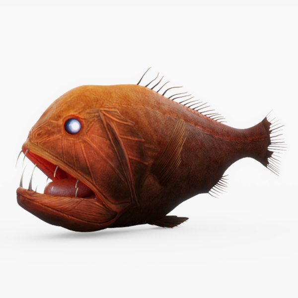 fangtooth鱼3d模型