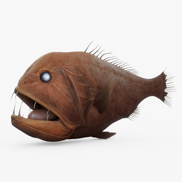 Fangtooth fish 02 model - TurboSquid 1298361