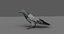rock pigeon dove animation 3D
