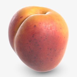 apricot 3D model