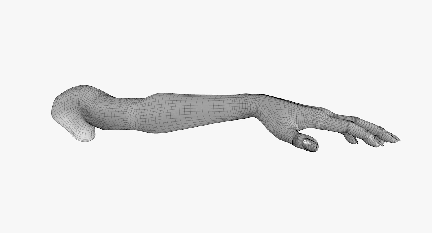 手臂l没有纹理3d模型