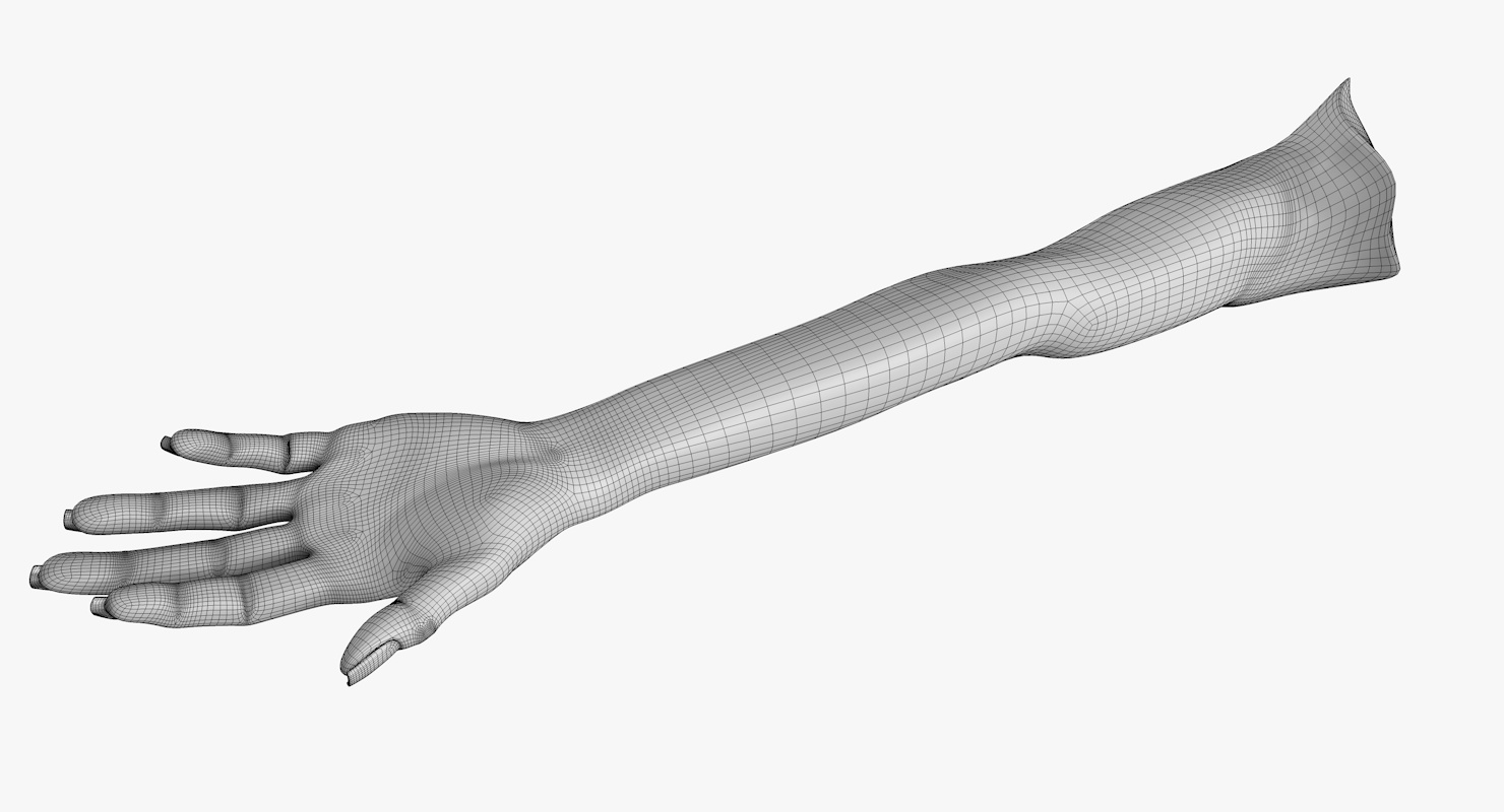 手臂l没有纹理3d模型